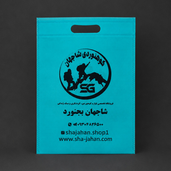 بگ آبی آسمانی