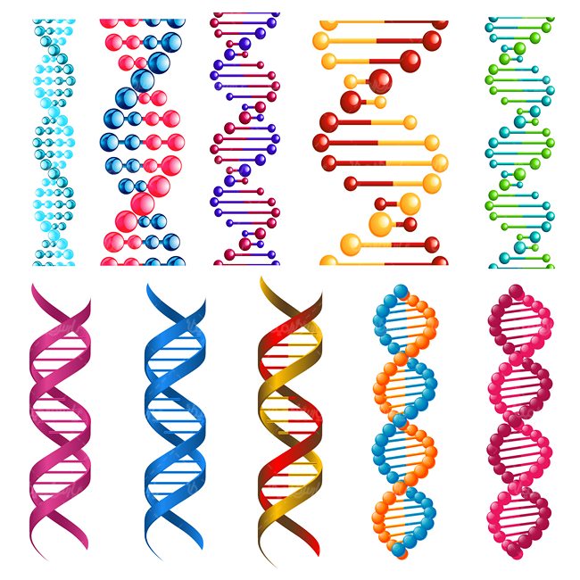 وکتور ساختار دی ان ای وکتور DNA - ایران طرح