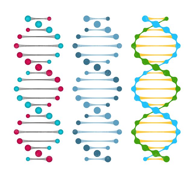 وکتور ساختار دی ان ای وکتور DNA - ایران طرح